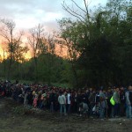 Refugees accross the hungarian border