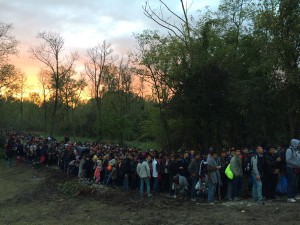 Refugees accross the hungarian border