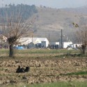 Eviction attempts at the Idomeni have begun!