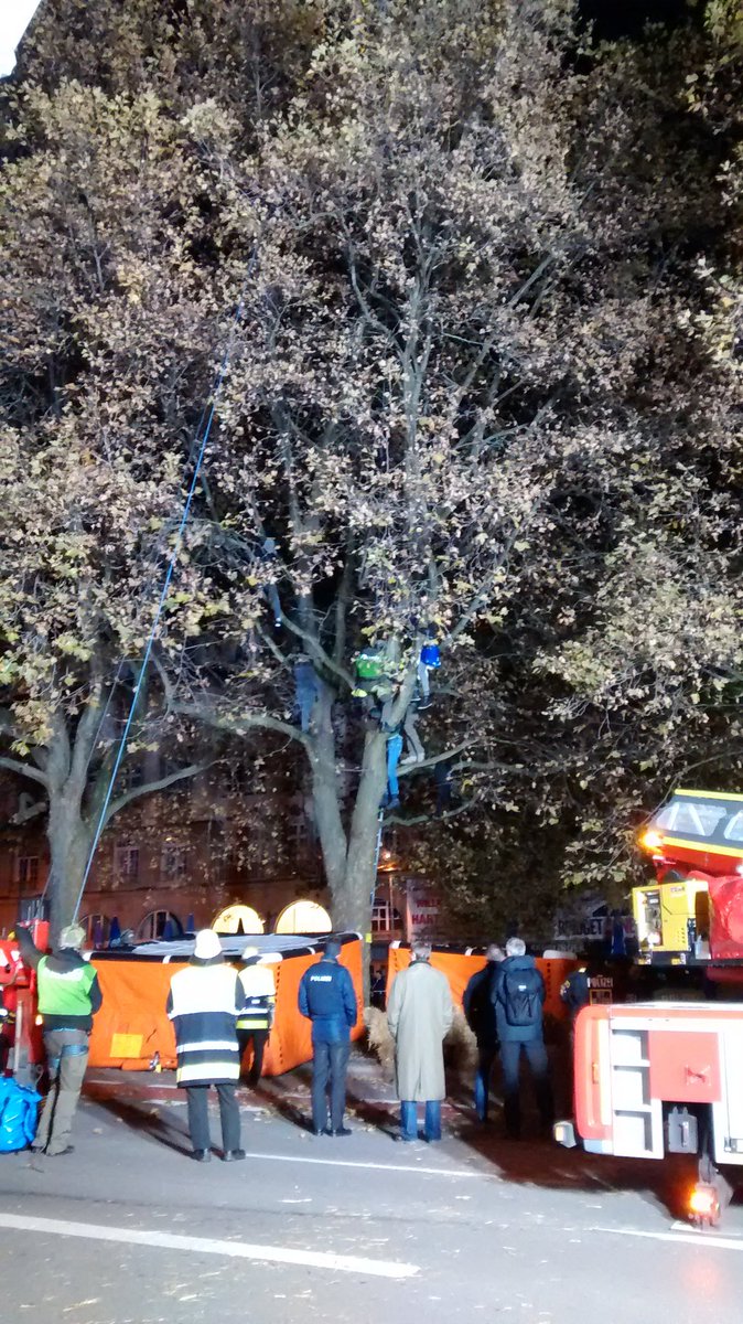 sendlinger-tor-baumbesetz-sek-einsatz