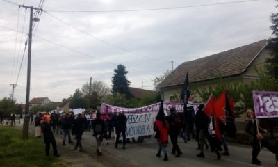 röszke protest Hungary